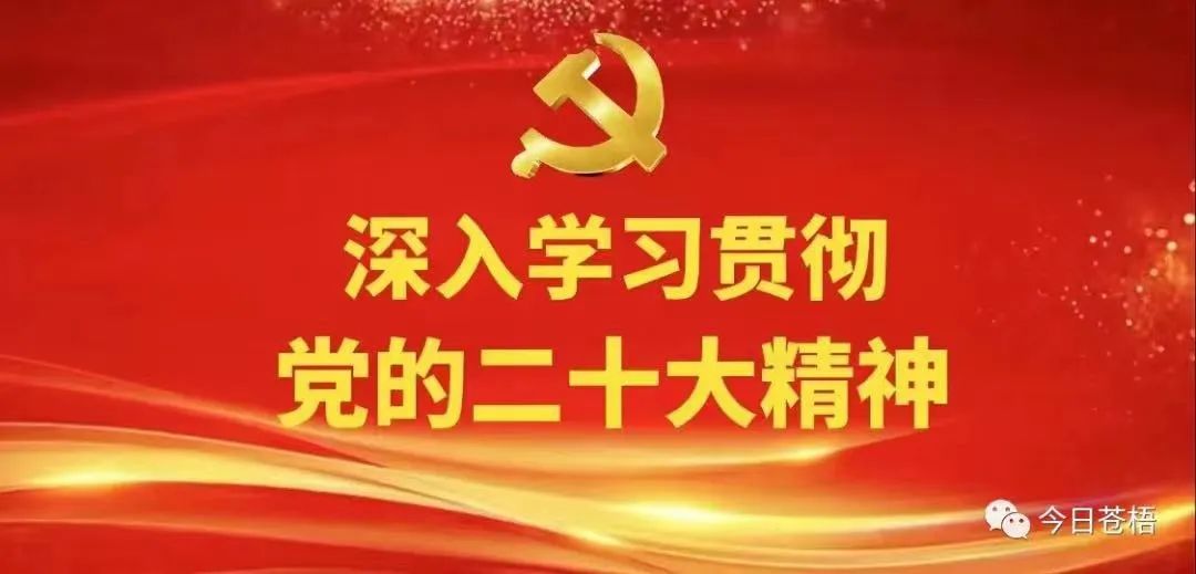 为什么稳定性对篮球发展如此重要_2